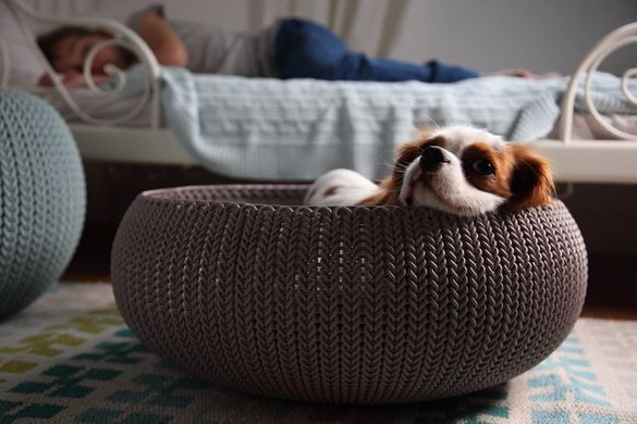 Ліжко, лежак, лежанка для собаки KETER KNIT COZY PET BED, зручне спальне місце