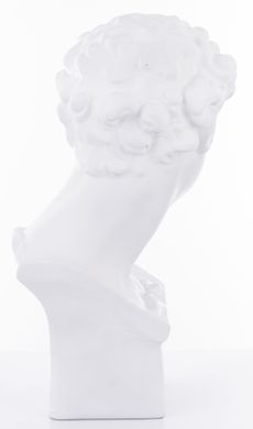 Статуетка Art-pol Голова 162011