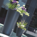Кашпо для квітів Prosperplast Tubus Slim DTUS300-S433 антрацит 