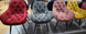 Крісло м'ягке зі спинкою Signal Cherry Velvet Bluvel 59 (Бордовий, вельет )
