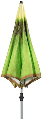 Садова парасолька Doppler FRUIT 200 ківі зелена 003895