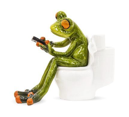 Смішна фігурка жаби на туалеті 118553