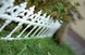 Садовий паркан (огорожа) Prosperplast Garden Art IPLB-S449 бордюр білий